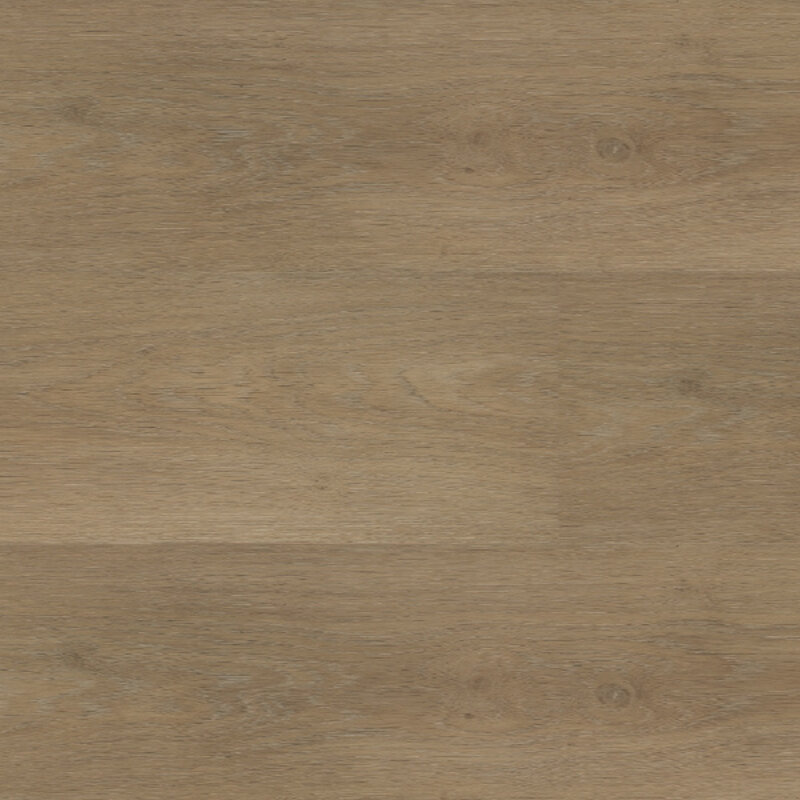 Lijmstrook Chapelle XL 54841