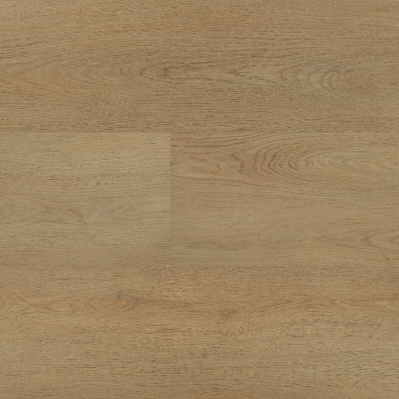 Lijmstrook Chablis XL 54854