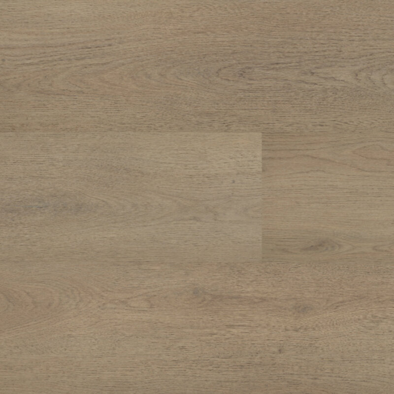 Lijmstrook Chablis XL 54855