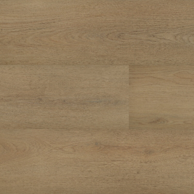 Lijmstrook Chablis XL 54856