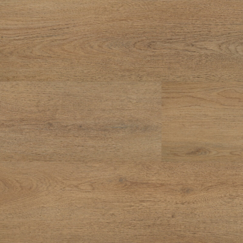 Lijmstrook Chablis XL 54857