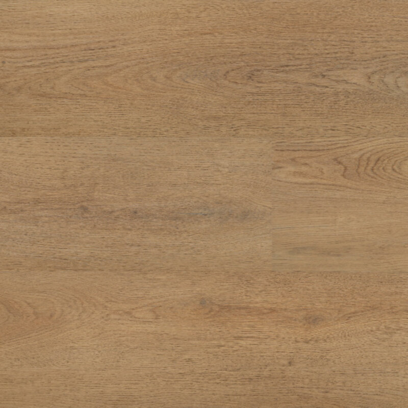 Lijmstrook Chablis XL 54858