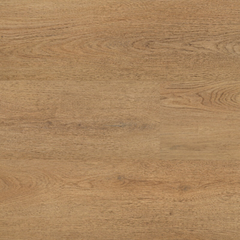 Lijmstrook Chablis XL 54859