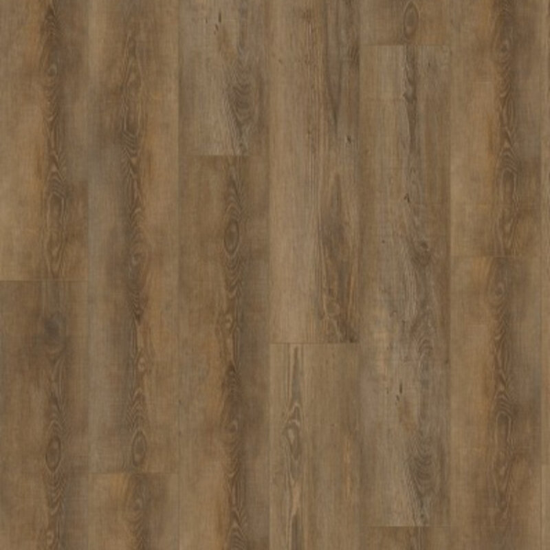 Lijmstrook City Olympia Pine 4604