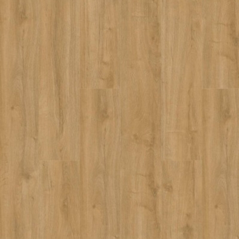 Lijmstrook Oakland Naturel 6101