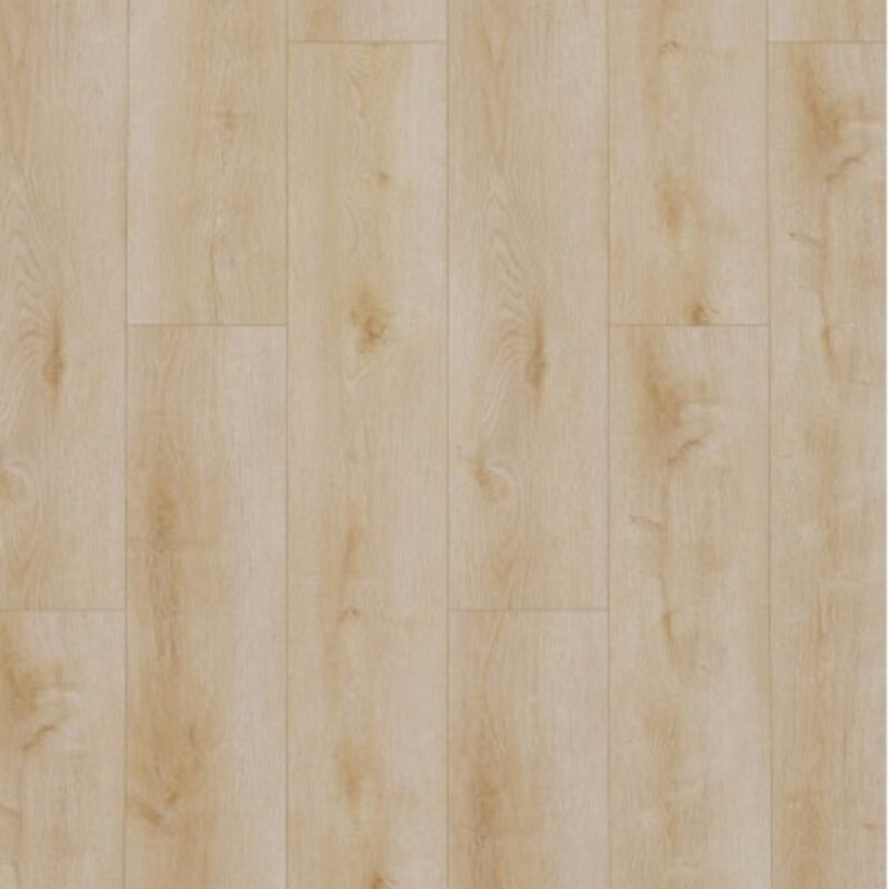 Lijmstrook Dynamic Natural Light 2500