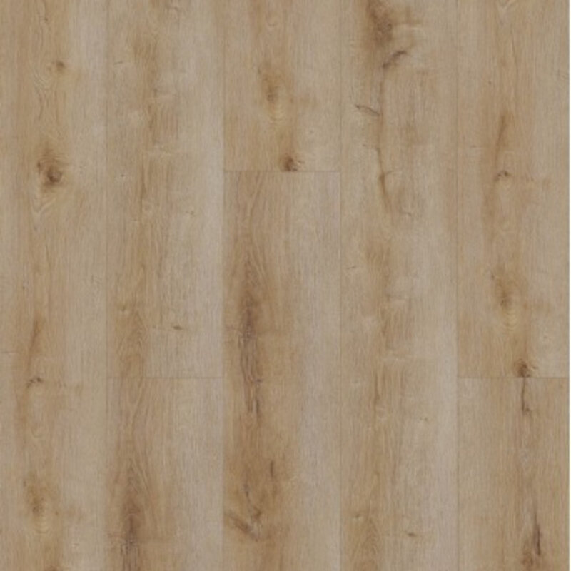 Click Dynamic Natural Smoked 3501