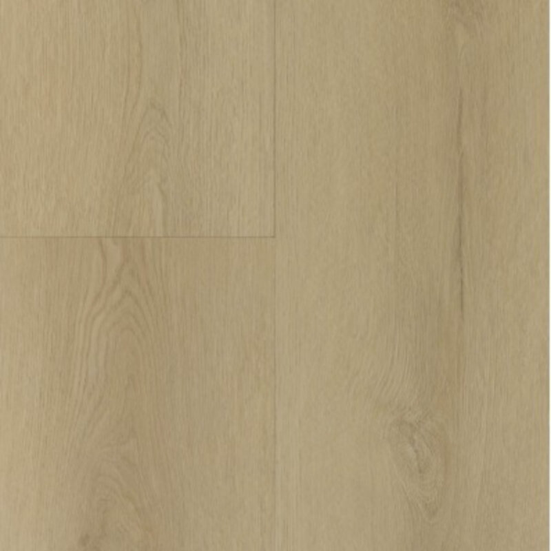 Lijmstrook Sierra Light 2002