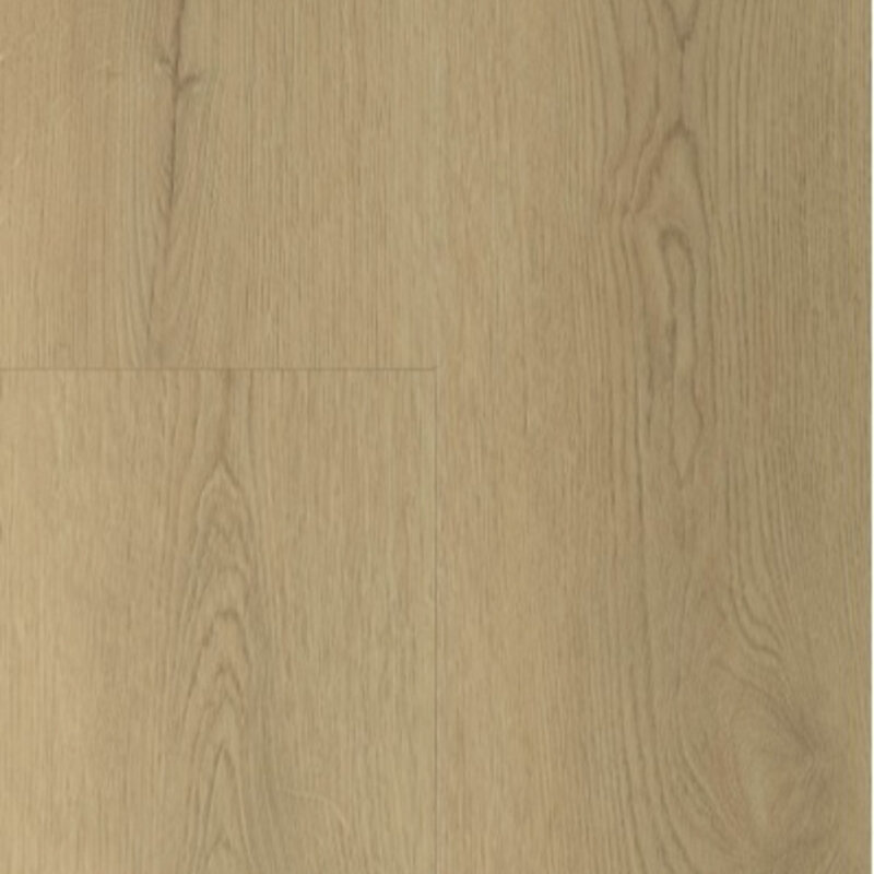 Lijmstrook Sierra Naturel 2003