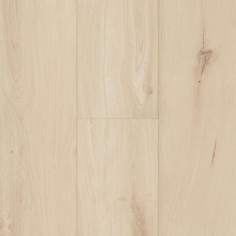 Hydro+ Ocean+ 8 XL Gyant Xl Light Sand 62002451