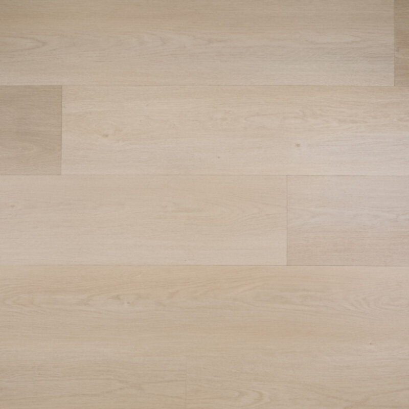 Click Nieuwe Oogst Riante Plank Sinaasappel 10854