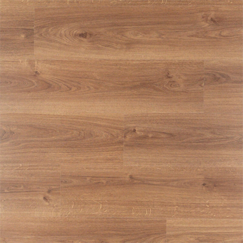 Spontaan Kurkuma 03451