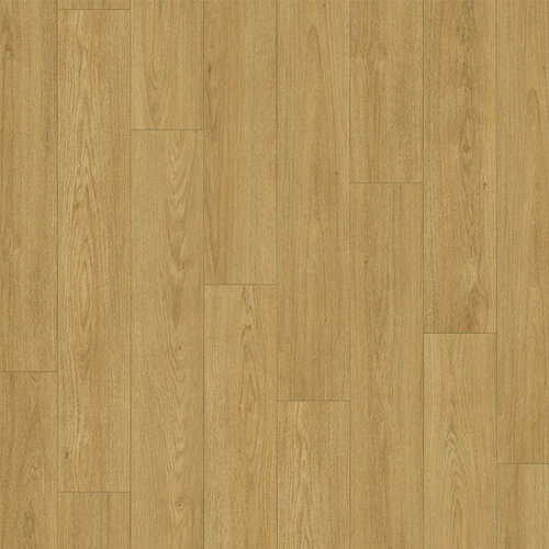 Douwes Dekker Symphatiek Kaviaar 03481