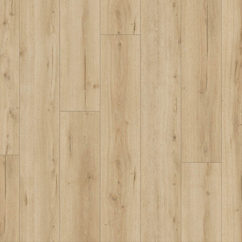 Symphatiek Vijg 03483