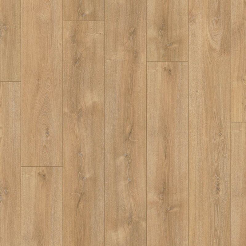 Puur Basilicum 03484