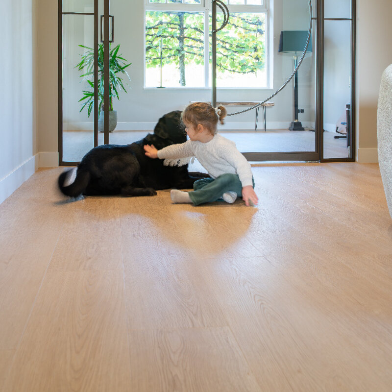 Lijmstrook Monastro XL 920