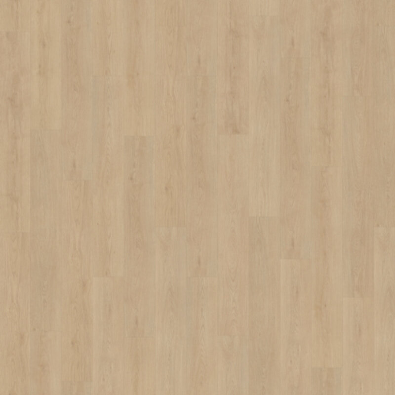 Lijmstrook Monastro XL 920