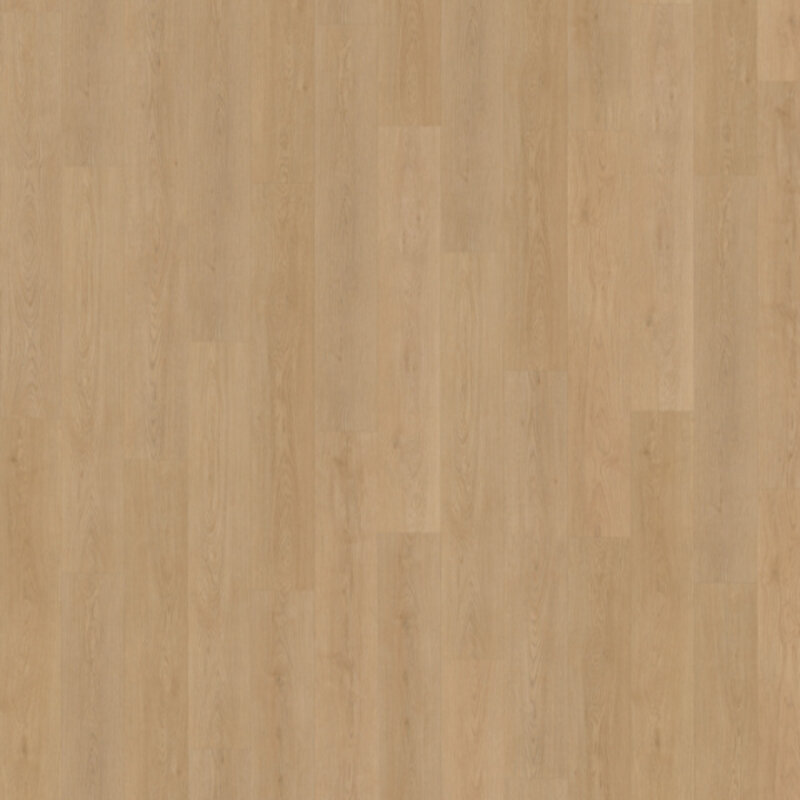 Lijmstrook Monastro XL 930