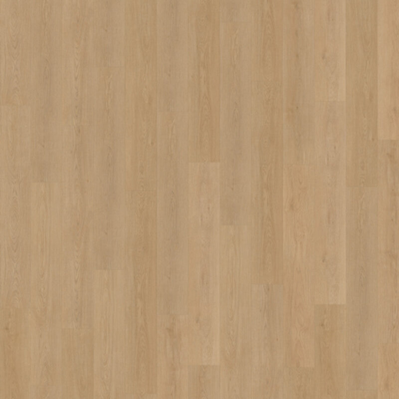 Click Monastro XL 930