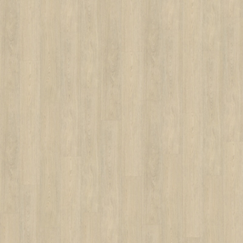 Click Terreno XL 620