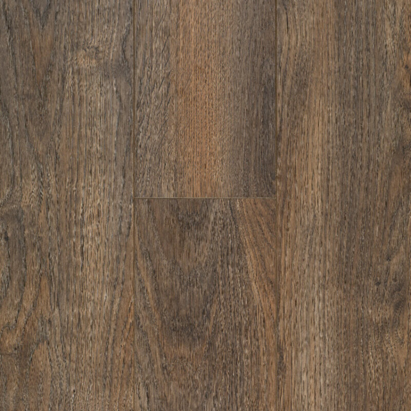 Ocean+ Java Brown 62003079