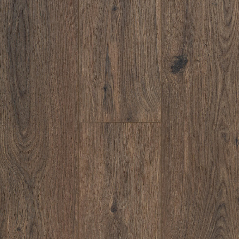 Ocean+ Gyant Dark Brown 62003071