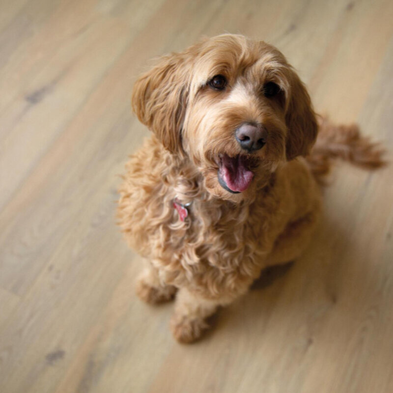 Ocean+ Gyant Natural 62003076