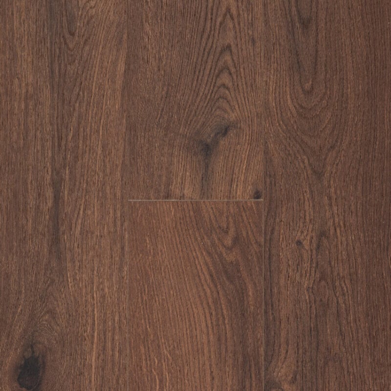 Ocean+ Gyant Warm Brown 62003078