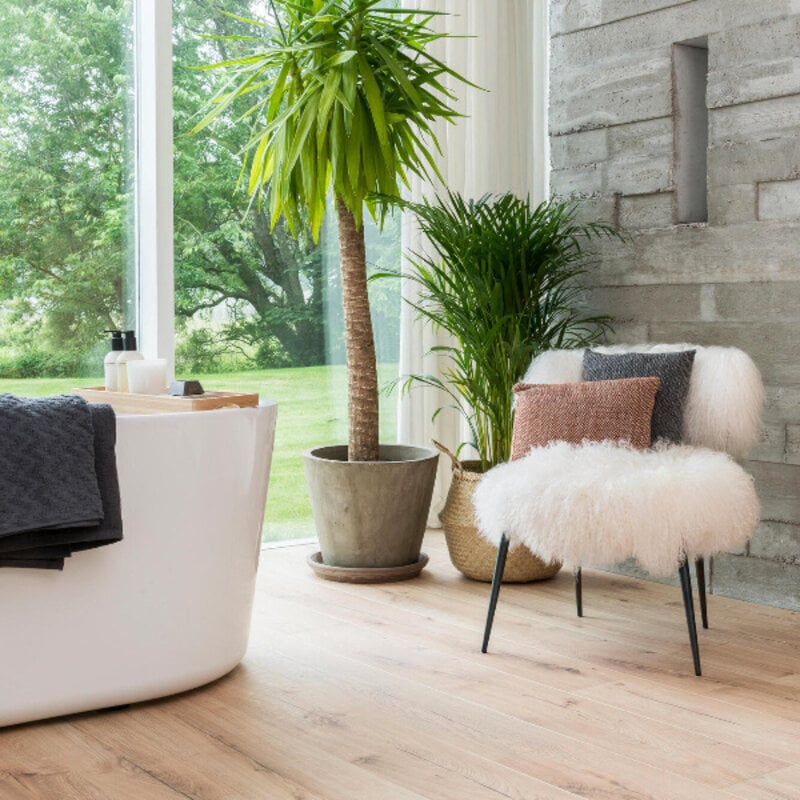 Ocean+ Canyon Natural 62003057