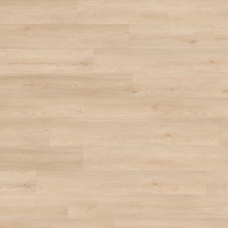 Lijmstrook Roots 55 EIR Galtymore Oak 86221
