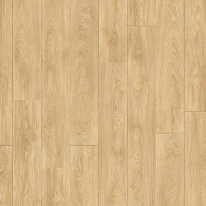 Lijmstrook Roots 55 EIR Laurel Oak 51332