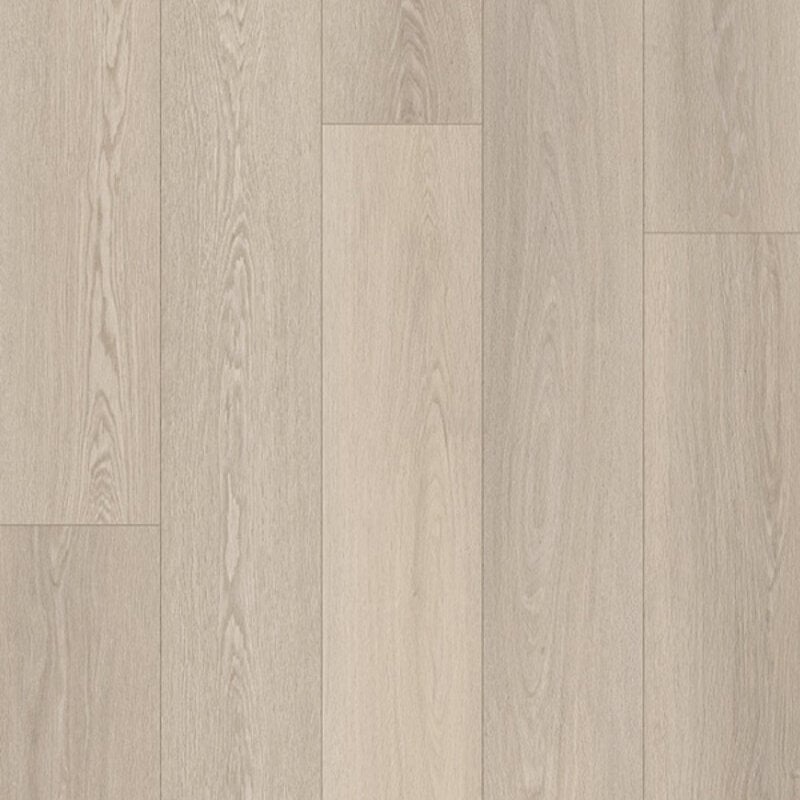 Click Tytan Asteria 50 TYT 05312