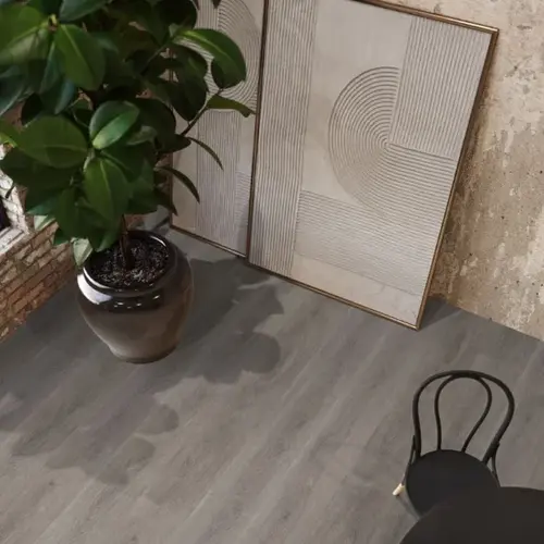 Floorlife  Click Parramatta Grey Oak 2554