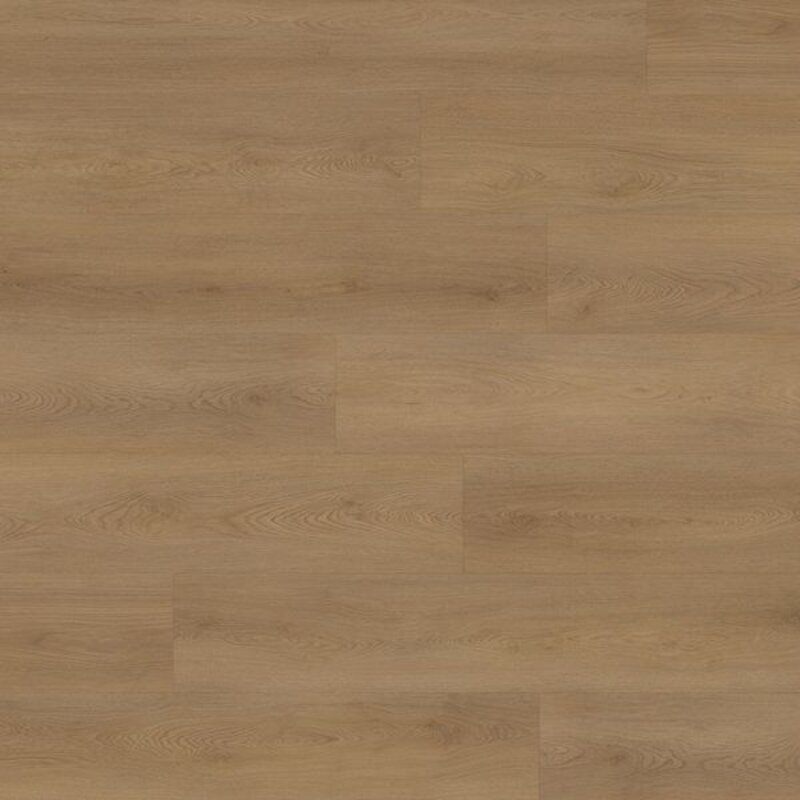 Lijmstrook Select Oak Brown P.10.70.1