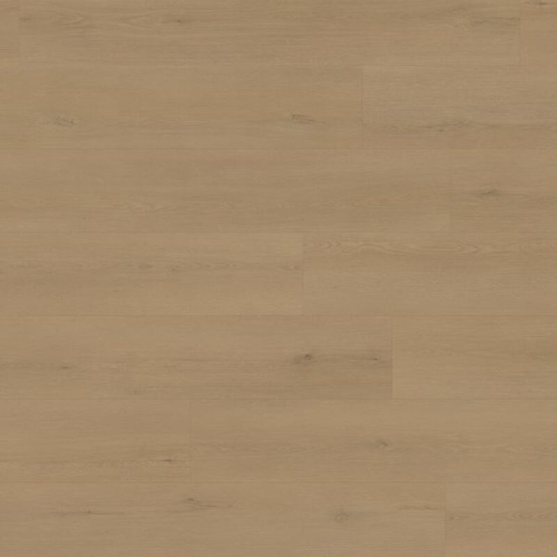 Lijmstrook Pure Oak Light Smoked P.10.50.2