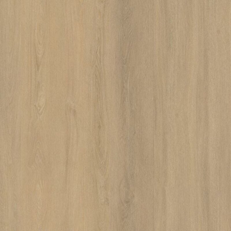 Lijmstrook Sutton Warm Beige 8504