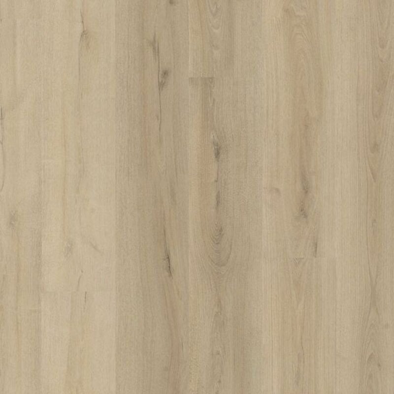 Lijmstrook Greenford Smoky 1014