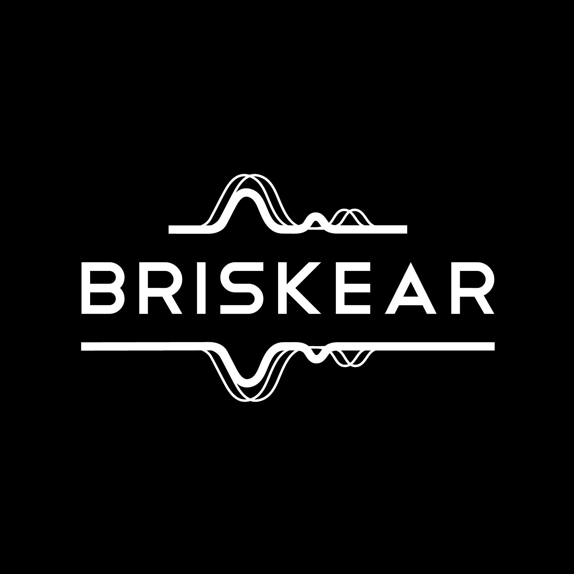Brisk Lab