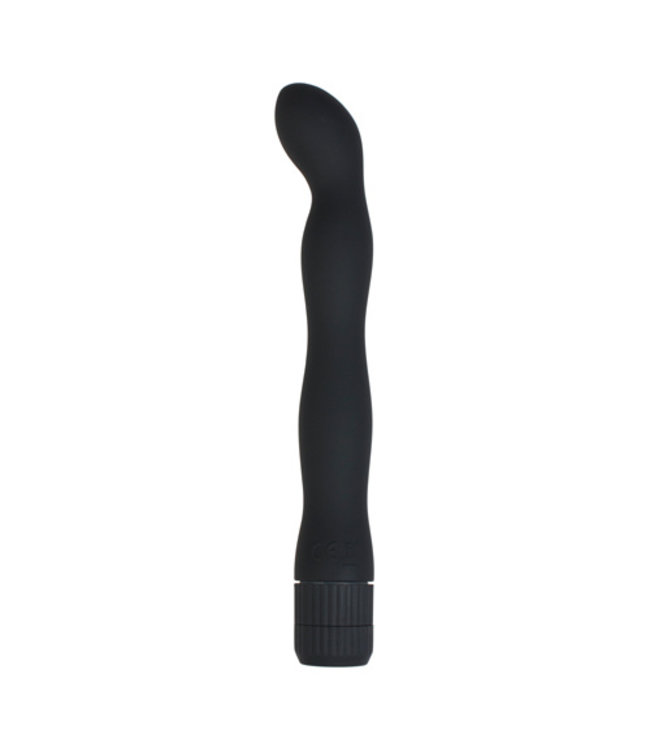 You2Toys Anal Lover