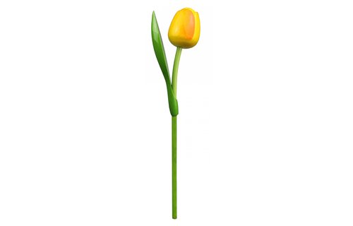 Gevavi - Houten tulp geel