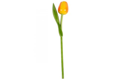 Gevavi - Houten tulp geel