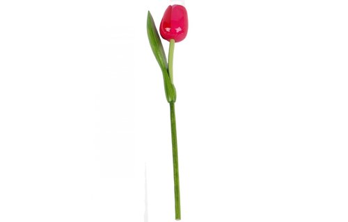 Gevavi - Houten tulp roze