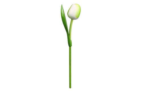 Gevavi - Houten tulp wit