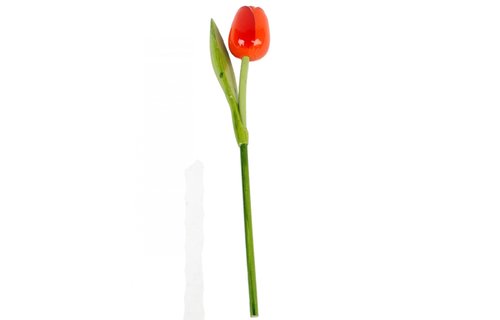 Gevavi - Houten tulp oranje