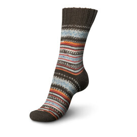 Schachenmayr 4-f Regia Pairfect Design Line  A&C Fall Night Color 09135