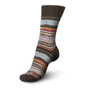 Schachenmayr 4-f Regia Pairfect Design Line  A&C Fall Night Color 09135