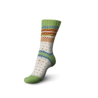 Schachenmayr 4-f Regia Pairfect Design Line  A&C Kollen Color 09095