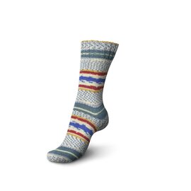 Schachenmayr 4-f Regia Pairfect Design Line  A&C Tinn Color 02462