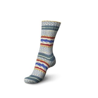 Schachenmayr 4-f Regia Pairfect Design Line  A&C Tinn Color 02462