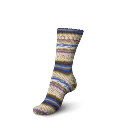 Schachenmayr 4-f Regia Pairfect Design Line  A&C Tokke Color 02463